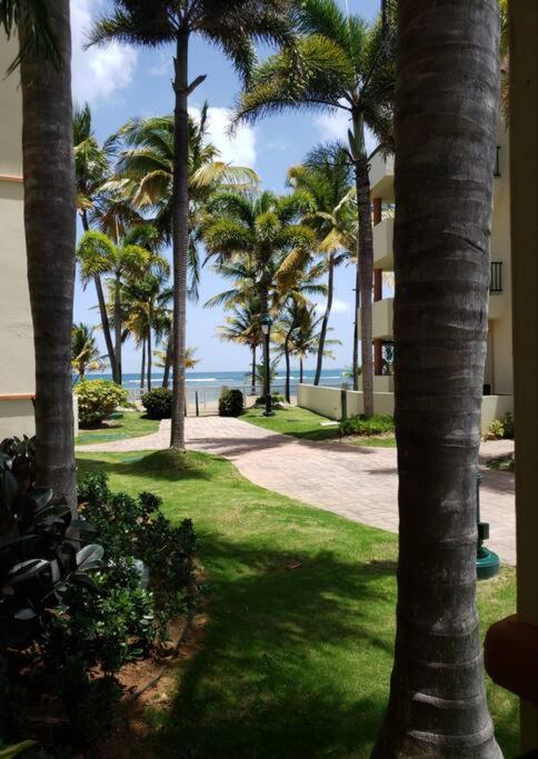 1St Level Unit Steps To Beach- Cold Air Conditioner At Poza Del Mar Luquillo Exterior foto